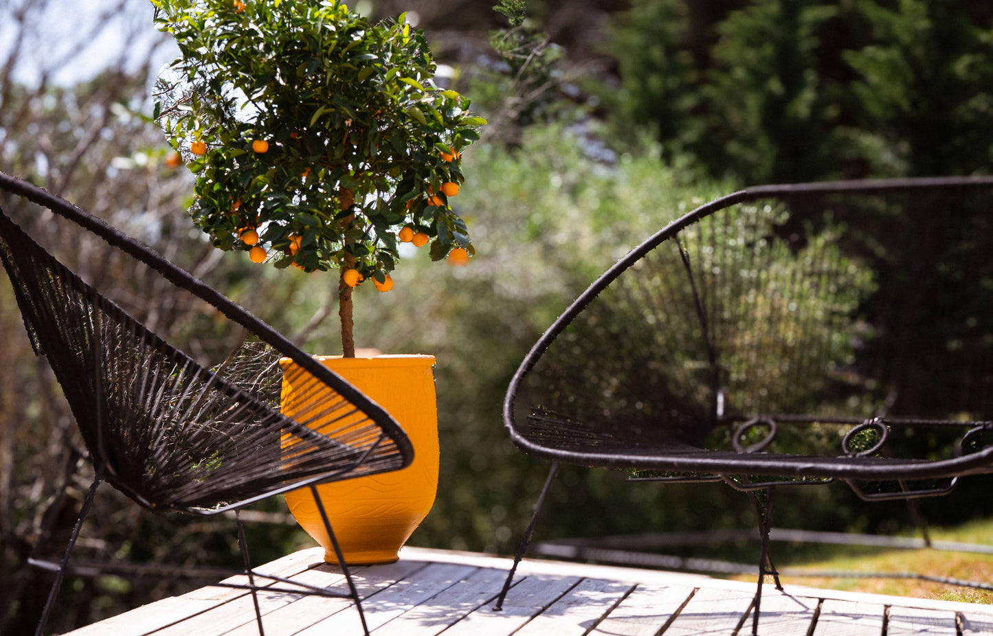 Le fauteuil Bid