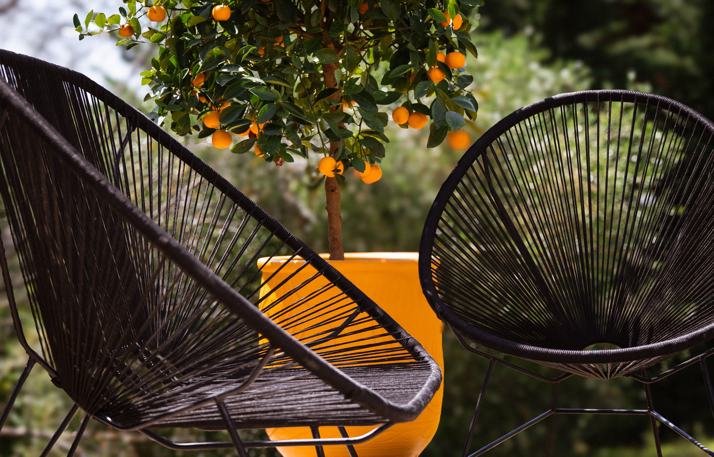 Le fauteuil Bid