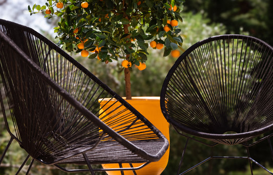 Le fauteuil Bid