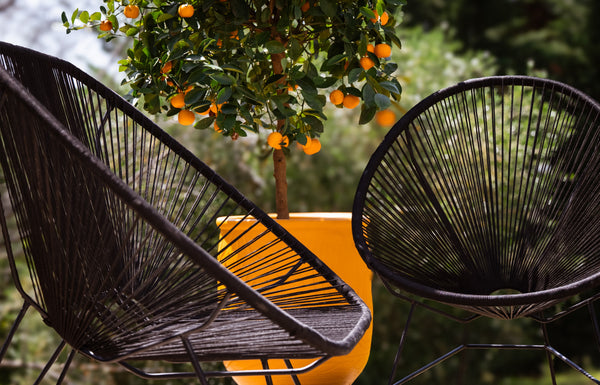 Le fauteuil Bid