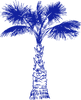 tajdid-palm-tree.png